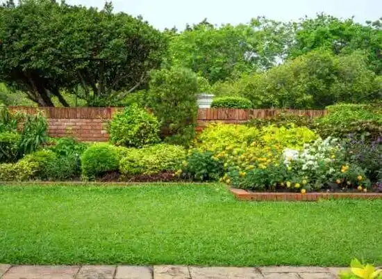 landscaping services Woodsboro